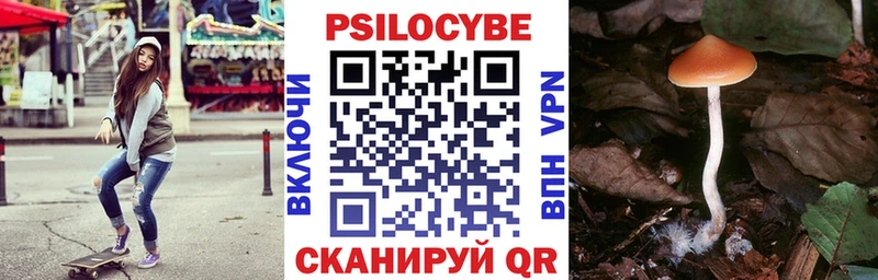 Псилоцибиновые грибы Cubensis  Горняк 